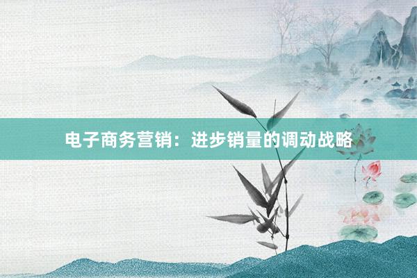 电子商务营销:进步销量的调动战略
