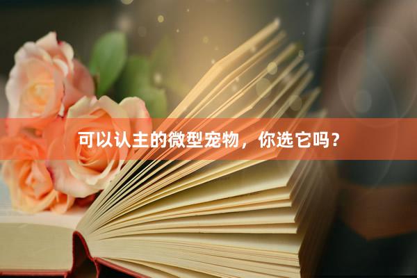可以认主的微型宠物，你选它吗？